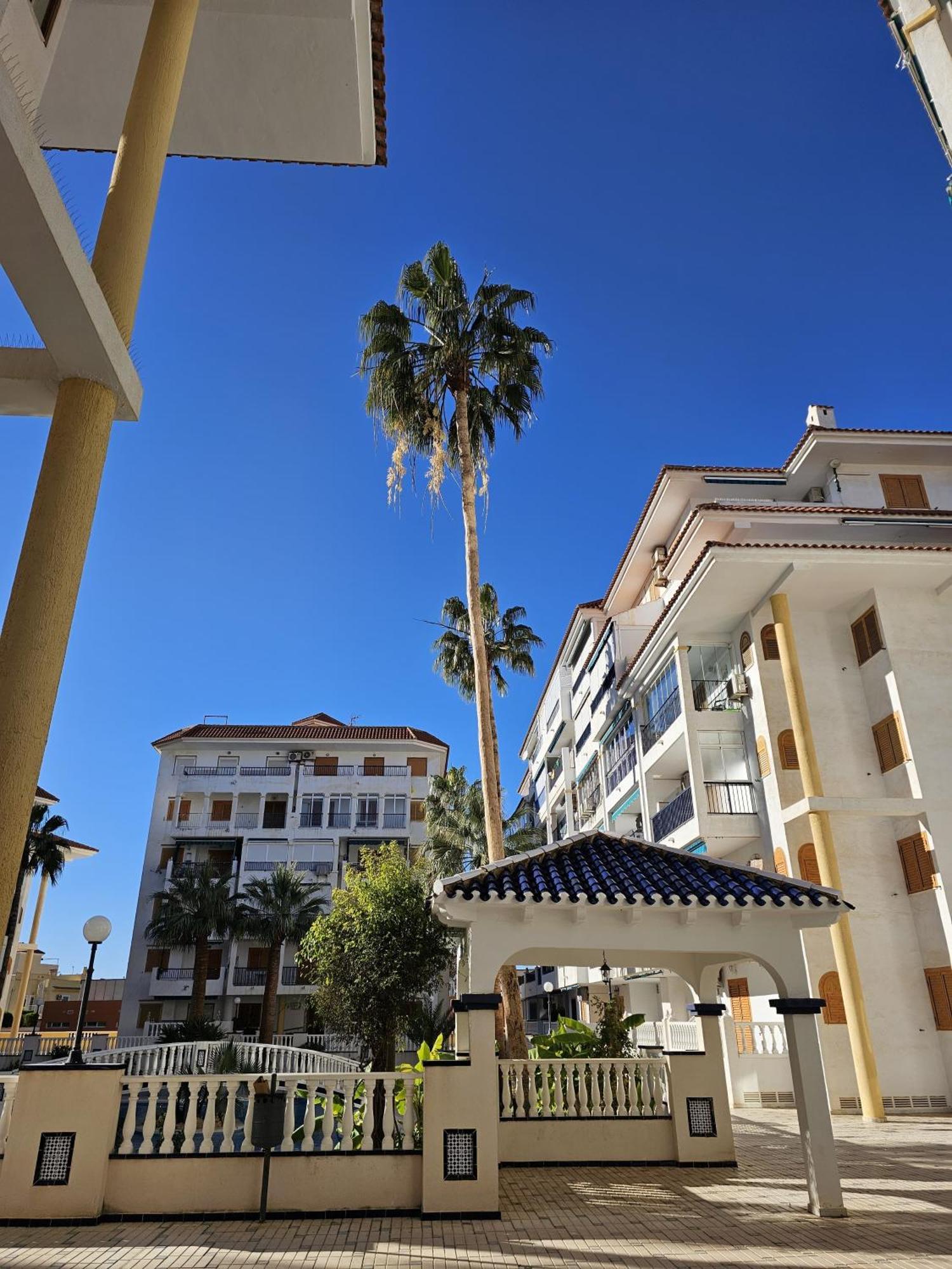 At Costa Blanca - Cozy Apartment With Pool Torre La Mata Exterior foto